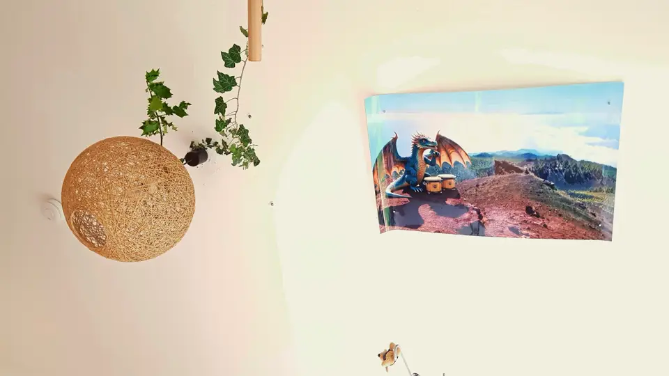 Dragoblew mit Bongos an Jonas Zimmerdecke