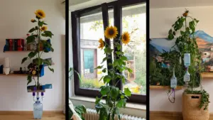 KI-erzeugte kuriose Blumen-Monster