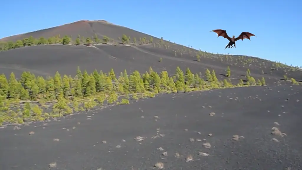 Pico Birigoyo auf La Palma mit Drachen, der davon fliegt