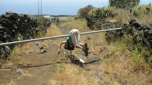 La Palma Blödsinn Jonas
