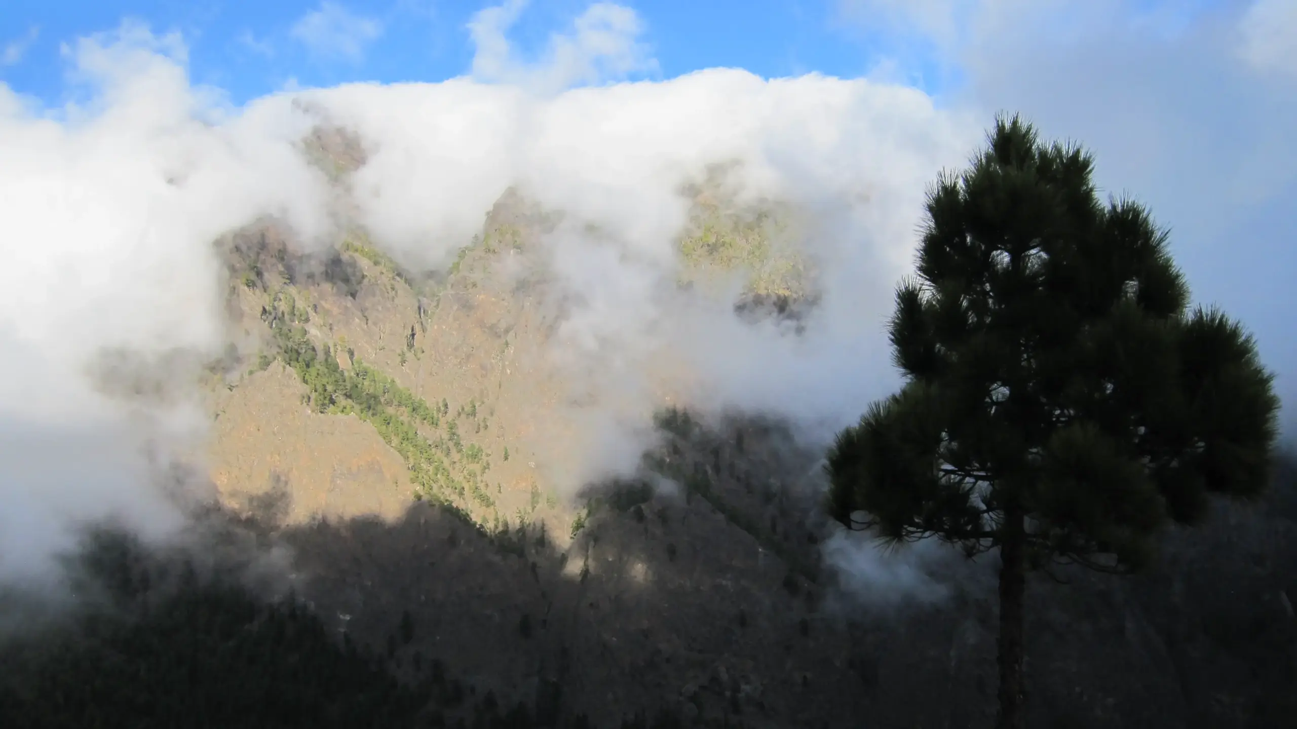 La Palma mystische Berge